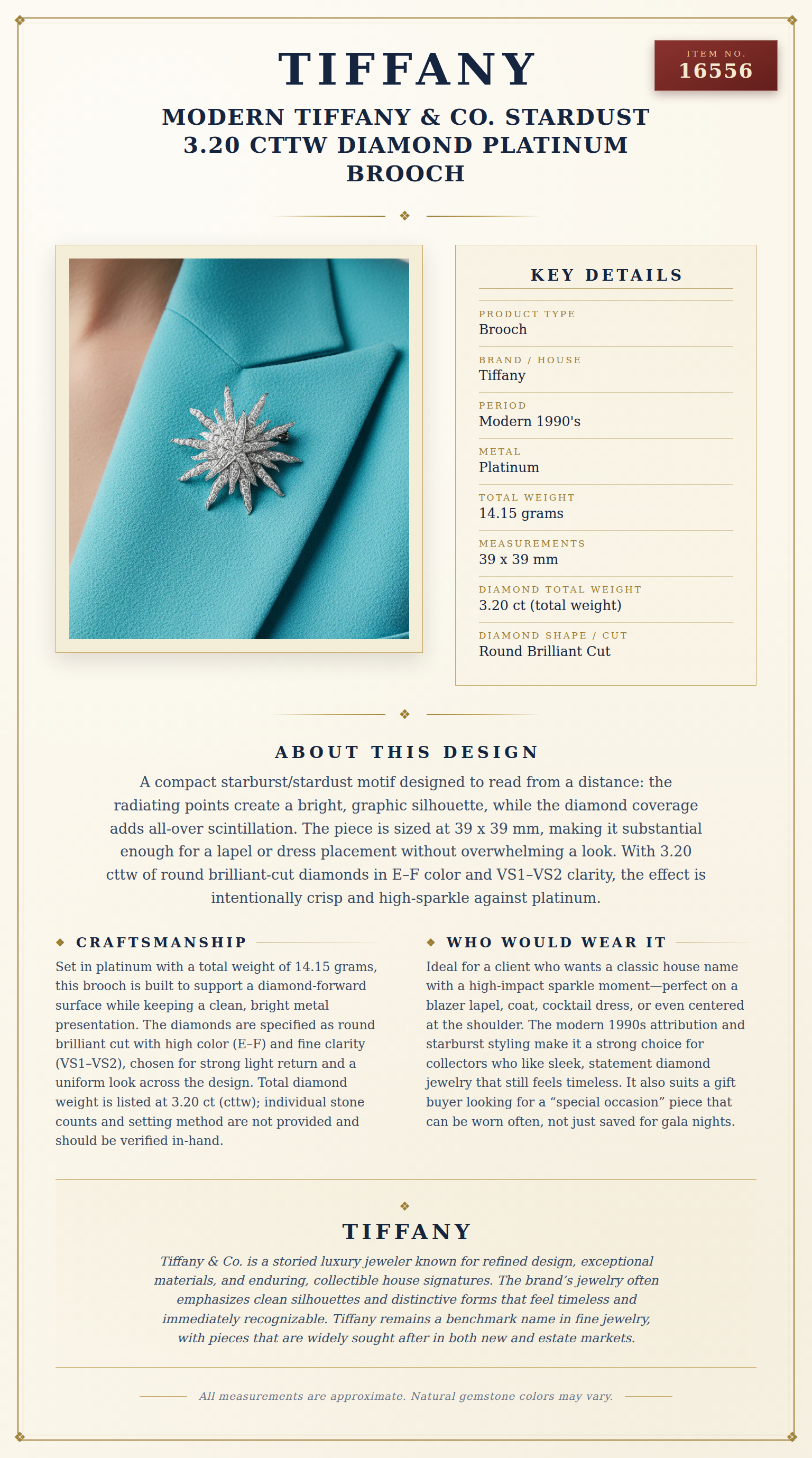 Modern Tiffany & Co. Stardust 3.20 cttw Diamond Platinum Brooch — anatomy card